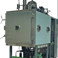 生產(chǎn)型凍干機(jī)LYO-2
