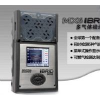 英思科 MX6 復(fù)合氣體檢測儀