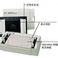 美國Bio-Rad 伯樂Trans-Blot SD 170-3940 通用型半干轉(zhuǎn)印槽