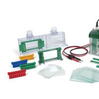 美國bio-rad伯樂165-8001Mini-ProteanTetra小型垂直電泳槽