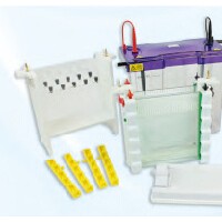 電轉(zhuǎn)印大型垂直電泳儀VS20 WAVETETRAD1CBS 英國(guó)Cleaver
