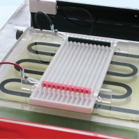 英國(guó)Cleaver)蛋白質(zhì)雙向電泳系統(tǒng)等電聚焦與第二維電泳-CSL-IEF-KIT-MAXIPLUS
