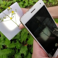 萬深SC-K1型自動原位活體植物分枝角測量儀