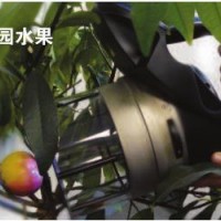 便攜式紫外-可見光熒光儀