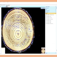 RingAnalysis專業(yè)年輪分析軟件