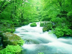 2.89億地表水國控斷面采集服務項目花落京誠、科邦等檢測單位
