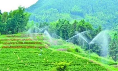 高氯酸根離子含量的測(cè)定