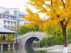 預(yù)算約1050萬元 江南大學(xué)采購國產(chǎn)實驗室儀器設(shè)備及廢氣處理設(shè)備