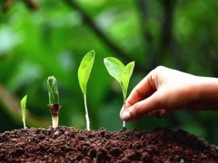 土壤重金屬分析儀器的機(jī)遇來了 28億土壤污染防治專項(xiàng)資金下發(fā)