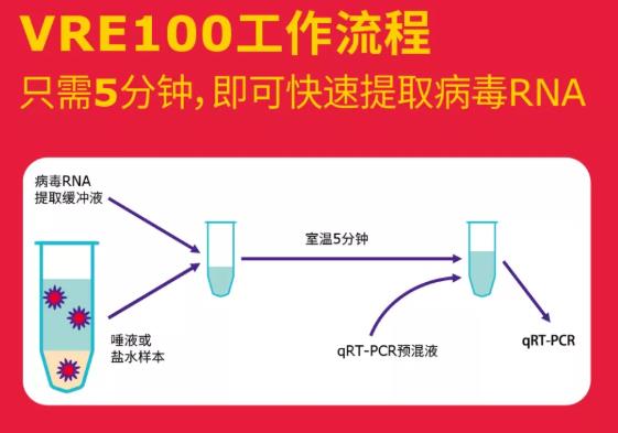 病毒RNA提取緩沖液(VRE100)