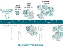 質(zhì)子交換膜燃料電池的催化劑漿料分析 X射線衍射 (XRD)、激光衍射和動(dòng)態(tài)光散射技術(shù)
