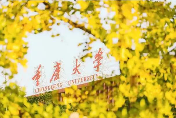 重慶大學(xué)預(yù)算120萬 招標(biāo)采購(gòu)全自動(dòng)多站比表面及孔徑分析儀