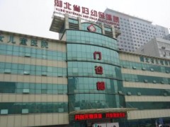 湖北省婦幼保健院預算260萬 競爭性磋商采購液相色譜質(zhì)譜聯(lián)用儀