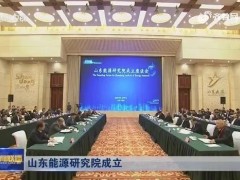 山東能源研究院預(yù)算128萬元 采購固體表面Zeta電位儀及氣質(zhì)聯(lián)用儀