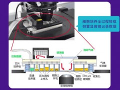 默克生命科學(xué)推出：全新一代微流控細(xì)胞芯片實(shí)驗(yàn)室CellASIC?ONIX2