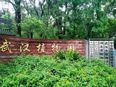 中科院武漢植物園375萬 采購水分含量檢測儀、可見光分析檢測儀等設(shè)備