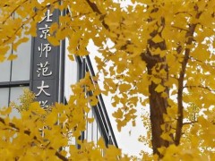 北京師范大學850萬 采購X射線電池原位結構分析儀、固體核磁共振譜儀