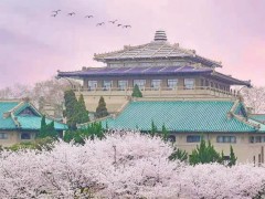 武漢大學(xué)1645萬元 采購顯微鏡、電感耦合等離子體質(zhì)譜、氣質(zhì)聯(lián)用儀等