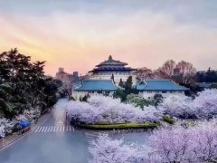 武漢大學(xué)預(yù)算1170萬 采購氣質(zhì)聯(lián)用儀、圓二色光譜儀、氣相色譜儀、液相色譜儀等