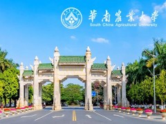 華南農(nóng)業(yè)大學(xué)265萬元 采購特色油脂加工服務(wù)產(chǎn)業(yè)園核磁共振波譜儀等設(shè)備