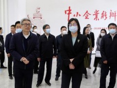 廣東省生態(tài)環(huán)境廳黨組書(shū)記徐曉霞一行蒞臨禾信儀器開(kāi)展調(diào)研