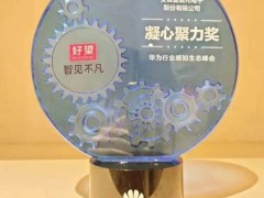 安徽藍盾光電榮獲：華為行業(yè)感知生態(tài)峰會“凝心聚力獎”稱號