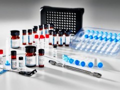 沃特世新品發(fā)布：PeptideWorks胰蛋白酶酶解試劑盒