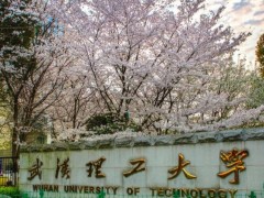 武漢理工大學(xué)預(yù)算2200萬元 采購800M固體核磁共振波譜儀