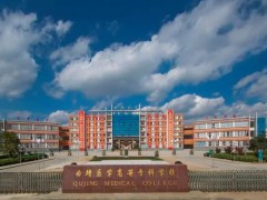 曲靖醫(yī)學高等?？茖W校預算485萬 采購招標藥學實驗儀器設備