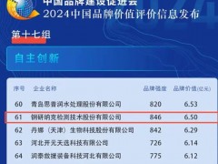 鋼研納克2024年品牌價值6.5億元 成功上榜“自主創(chuàng)新”組