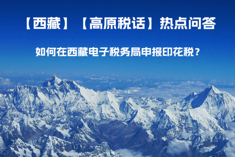 如何在西藏自治區(qū)電子稅務(wù)局申報(bào)印花稅？